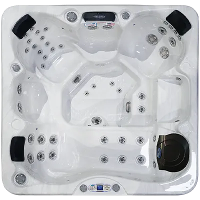Avalon EC-849L hot tubs for sale in Oceanview